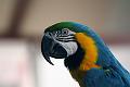 IMG_3468_3978 aaa